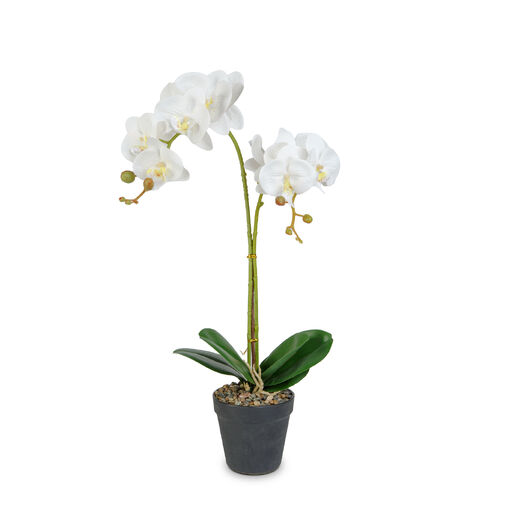 11918 • Műnövény dekoráció - orchidea - 2 féle - 54 cm